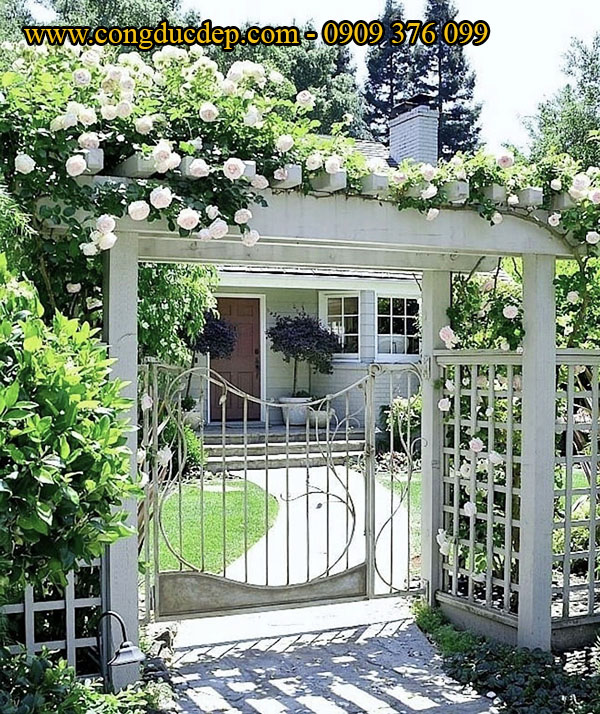 Vòm cổng hoa hồng leo màu trắng